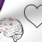 Descubre cómo el amor puede ser racional y emocional a la vez