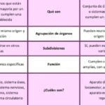 Descubre los diferentes tipos de sistemas y su funcionamiento