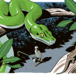 El impacto de la captura ilegal en reptiles exóticos