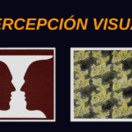 Factores determinantes del impacto y percepción visual: ¿Cuáles son?