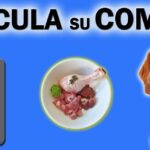 Mascotas: Cómo calcular la cantidad diaria de alimento para perros