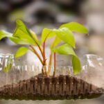 Proyectos para promover la reutilización de materiales