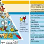 Sustancias orgánicas esenciales en la dieta vegana para adultos